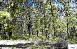 Rodberg Place lot: 4149, Edwards, MO 65326
