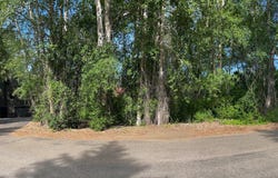 1060 Red Elephant Drive, Hailey, ID 83333