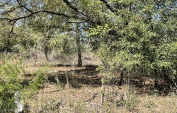 Speights Way, Bascom, FL 32423