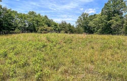 2050 High Peak Rd, Monroe, VA 24574