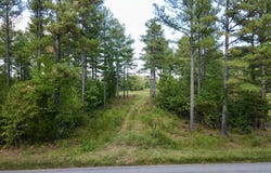 36 ac Beech Creek Road, Nelson, VA 24580