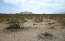 2345 Sunny Sands Drive, Joshua Tree, CA 92252