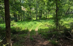 SIR JOHNS RUN Road, BERKELEY SPRINGS, WV 25411