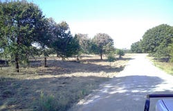 72 ac CR 3677, Paradise, TX 76073