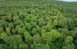Wood Yard Crossing lot: 7, Pittsburg, NH 03592