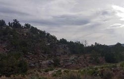 State Highway 595, Lindrith, NM 87029