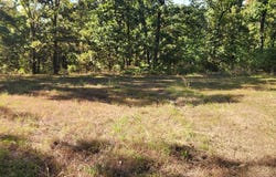 S 2125 Road, Stockton, MO 65785