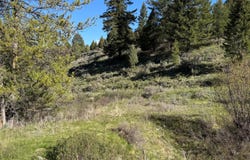 59 B4 CUTTHROAT RUN, Irwin, ID 83428