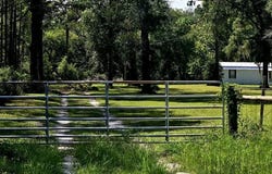 9515 NE State Rd 349, Old Town, FL 32680
