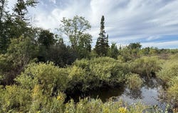 51XX E County Rd M, Gordon, WI 54838