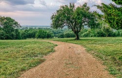 11755 Puddin Lane, Washington, TX 77880
