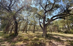 10 Nelson Rd, Poplarville, MS 39470