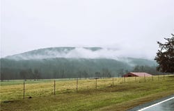 6825 Highway 23, St Paul, AR 72760