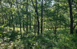 36501 Mohave Drive, Eldridge, MO 65463