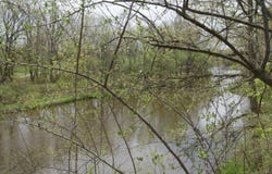 E River Rd lot: 2, Mount Pleasant, MI 48858