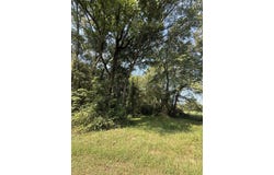 Clement Rd, Leighton, AL 35646