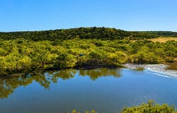 FM 1028, Rochelle, TX 76872