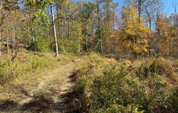 00 Maple Ave, Marsteller, PA 15760