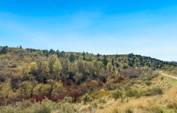 Walker Creek Road, Mccammon, ID 83250