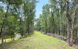 FM 2239, Paige, TX 78659