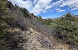 379 Fowler Dr, Westcliffe, CO 81252
