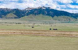 Cameron Drive lot: 40, Cameron, MT 59720