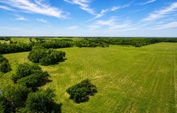 Tract C2-1 County Road 1140, Celeste, TX 75423