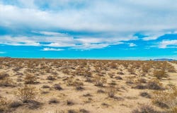 62155 Moonlight Mesa Street, Joshua Tree, CA 92252