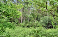 583 Hunter Road, Greenwich, NY 12834