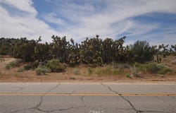 Longview & Old Homestead, Juniper Hills, CA 93543