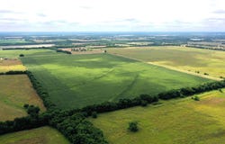 FM HWY 272, Leonard, TX 75452