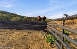 6100 CR-087, Las Cruces, NM 88011