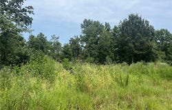 Partridge, Climax Springs, MO 65324