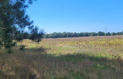 N 88th Avenue, Pentwater, MI 49449
