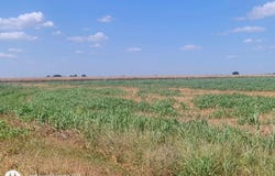 2016 Rolling Meadows Dr, Coupland, TX 78615
