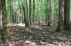2 Ruffner Road, Barnesville, GA 30204