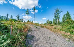 S Silver Lake Rd, CastleRock, WA 98611