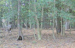 11.770 DAUGHERTY RD, ONANCOCK, VA 23417