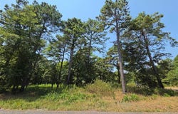 252 Split Paddle Lane, Broken Bow, OK 74728
