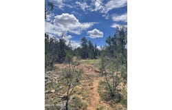 0001 Jeep Trail, Overgaard, AZ 85933