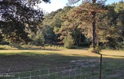 Birch Boulevard, Poplarville, MS 39470