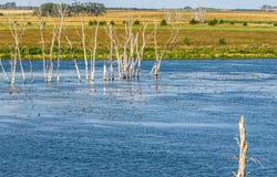 28146 382nd Ave, Armour, SD 57313