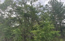 21902 NE 69TH Place, MELROSE, FL 32666