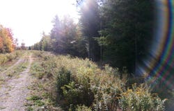 Old Mill Road, Talmadge, ME 04492