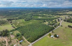 13610 Co Rd 37, Clanton, AL 35045