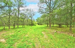 Fm 20, Lockhart, TX 78644