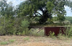Wilke Rd, Kingsbury, TX 78638