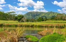 KANA ST, Kapaa, HI 96746