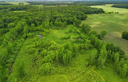 7 E Johnson Road, Ashley, MI 48806