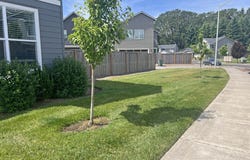 2945 S JASPER Dr, Cornelius, OR 97113